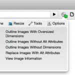 Web Developer Extension